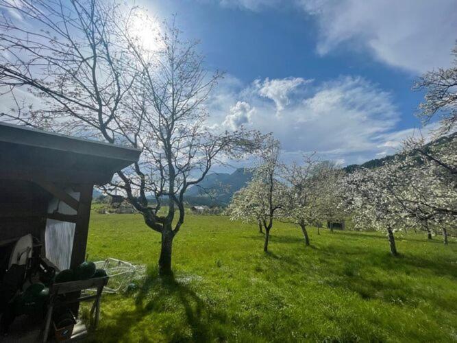 Holiday Home, Soell Ngoại thất bức ảnh